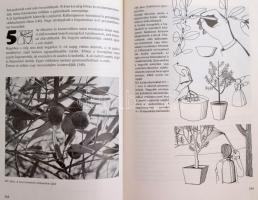 Velich István - V. Nagy Enikő: Nálunk is megterem. Históriák és tanácsok egzotikus gyümölcs- és fűsz...