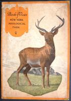 1921 New York állatkert bemutató füzet színes képekkel