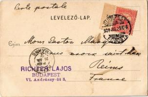 1900 Budapest III. Óbuda, "Jó pásztor" zárda nővérekkel a kertben. Divald Károly 251. sz