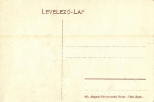 Budapest XI. Kamaraerdő, Mártha Villa (gyűrődés / crease)