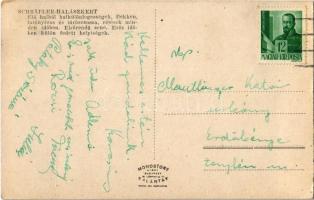 Budapest II. Schräpler-halászkert, kerthelyiség és fedett terasz, zongora. Lajos utca 27. (Újlak)