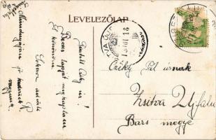 Budapest XII. Újjáépített Dr. Vaskovits-féle Szanatórium és Vízgyógyintézet. Városmajor utca 64-66