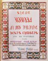 Baja Béla: Biblia-kódex. Új Testamentum. 1-2. köt. Bp., 2001, Advent Kiadó. Díszes műbőr kötésben, k...