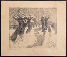 Wagner Géza (1879-1939): Téli táj, rézkarc-papír, jelzett, 17×21 cm