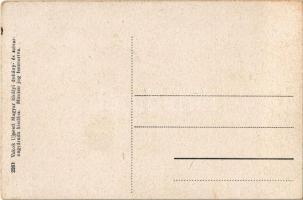 Fót, Piac tér, Tiszovszky Gábor vendéglője  (EK)