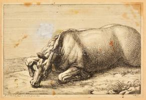 Adam-François van der Meulen (1632-1690): Fekvő ló. Rézmetszet. Jelzett a dúcon. Javításnyommal / Laying horse Engraving. With mark of repair. 25x17 cm
