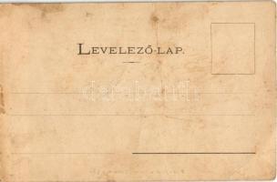 Szolnok, Részlet az 1848-49-es forradalom és szabadságharc szolnoki csatájának színteréről, Damjanic...