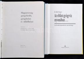Dr. Back Frigyes: Az eltűnt gyógyvíz nyomában... (Az Erzsébet Sósfürdőtől a Szent Imre Kórházig.). B...