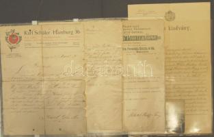 1907-1912 Klein Márton kolozsvári banktisztviselő házassági levele, 3db ajánlólevele, a feleség hozománylevele, képeslapja