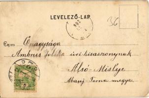 1902 Miskolc, látkép. Kiadja Gedeon András (EK)