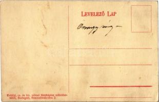 Budapest V. Erzsébet királyné szálloda, Moreno Henrik angol-francia maradék áruháza. Egyetem utca 5....