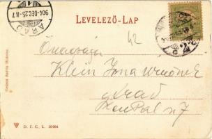 1904 Diósgyőr (Miskolc), vasgyár madártávlatból. Kiadja Gedeon András (EK)