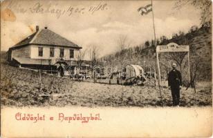 1905 Torbágy, Biatorbágy; Steer Mátyás vendéglője a Napvölgyhez, étterem (fl)