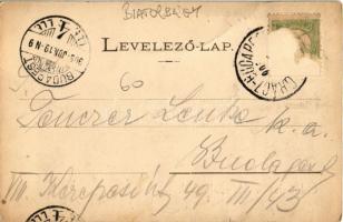 1905 Torbágy, Biatorbágy; Steer Mátyás vendéglője a Napvölgyhez, étterem (fl)