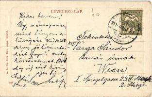 1911 Szekszárd, M. kir. állami fő gimnázium. W. L. Bp. 5044. (gyűrődés / crease)