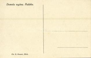 Demnya, Demnia wyzna; Pasieka. Fot. D. Brauner Skole / Apiary, beehives