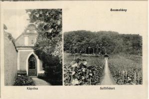 Szomolány, Smolenice; Kápolna, Szőlőskert / chapel, vineyards