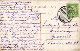 1909 Beregszász, Berehove; Fedák Zsazsa lak. W. L. Bp. 6049. / villa (EK)