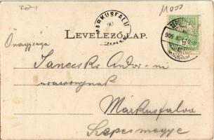 1905 Sepsiszentgyörgy, Sfantu Gheorghe; Korcsolyapálya, jégkorcsolyázók, téli sport. Kiadja Benkő M....