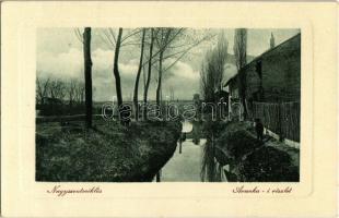 Nagyszentmiklós, Sannicolau Mare; Aranka folyó részlete, híd. W. L. Bp. 6710. Kiadja Wiener Náthán / Aranca (Zlatica) river detail, riverbank, bridge