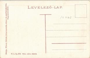Nagyszentmiklós, Sannicolau Mare; Aranka folyó részlete, híd. W. L. Bp. 6710. Kiadja Wiener Náthán /...