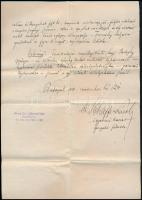 1910 Bp., Dr. Schaffer Károly igazgató-főorvos kézzel írt szakvéleménye intézeti elhelyezés szüksége...