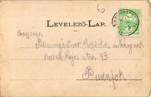 1911 Alsószombatfalva, Sambata de Jos; Salutare din Sambata inferior / Alsószombatfalvi román leány....