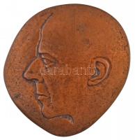 DN "Bartók Béla" kétoldalas Br plakett. Szign.: AI(?) (133x134mm) T:2