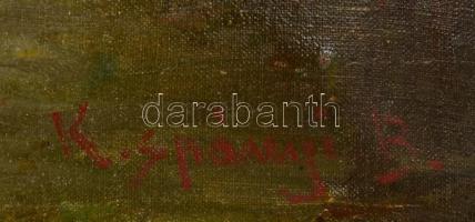 Spányi jelzéssel: Folyóparti fák. Olaj, vászon, 40×50 cm