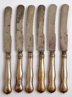 Ezüst (Ag.) nyelű kés készlet (6db), jelzett, LWN pengékkel, h:26 cm (6×), bruttó:440 g