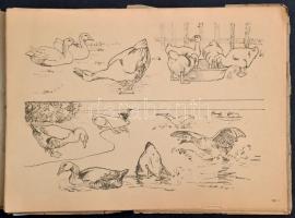 A rajzolás művészete. Tanulságos rajzminták 12. Bp., Rigler Papírneműgyár Rt., 12 t. Szakadozott map...