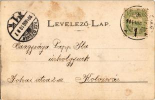 1904 Tiszaföldvár, Gulyalegelő, folklór. Kiadja Nagy Gábor, Sáray Albert felvétele (fl)