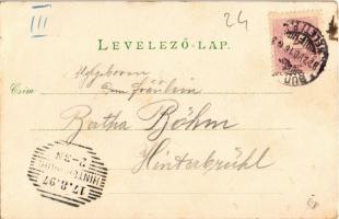 1897 (Vorläufer!) Budapest, Királyi vár és várbazár, Margit fürdő, Nemzeti színház, Lánchíd. Kunstan...