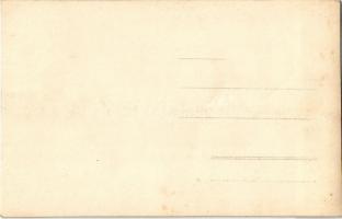 Felsőzúgó-fürdő, Ruzsbachfürdő, Bad Ober Rauschenbach, Kúpele Vysné Ruzbachy; strand fürdőzőkkel / s...