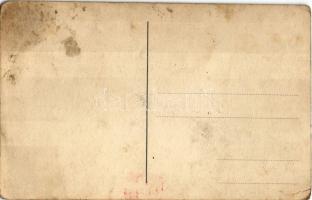 Sepsikőröspatak, Valea Crisului; Kálnoky kastély / castle. photo (fl)