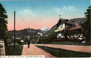 1914 Brassó, Kronstadt, Brasov; Pension Waldcafé, Villa Kuschmann / kávéház és panzió / café, hotel, villa