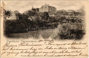 1900 Segesvár, Schässburg, Sighisoara; látkép a várral, kastély. Kiadja Teutsch Frigyes, Roth G. H. fényképész felvétele / general view with castle (EK)