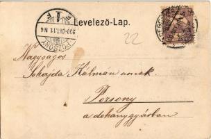 1900 Segesvár, Schässburg, Sighisoara; látkép a várral, kastély. Kiadja Teutsch Frigyes, Roth G. H. ...