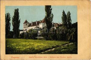 1913 Fogaras, Fagaras; Apaffy (Apafi) fejedelem vára. Kiadja Thierfeld Dávid / Schloss des Fürsten Apaffy / castle (EK)
