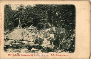 1911 Felsőszombatfalva, Sambata de Sus; hegymászók lovon a Fogarasi-havasokban (Fogarasi Kárpátok). Kiadja Ehrenwald Henrik / Muntii Fagarasului / alpinists on horseback in Fagaras Mountains (EK)