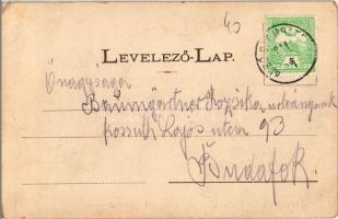 1911 Felsőszombatfalva, Sambata de Sus; hegymászók lovon a Fogarasi-havasokban (Fogarasi Kárpátok). ...