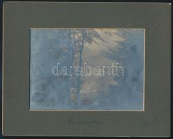 cca 1910 3 db máramarosi fotó, korabeli paszpartuban, Erdészvölgy (Kuzi), az itt lévő Rudolf-vadászkastély és tutajozó rutének, 11×15 cm