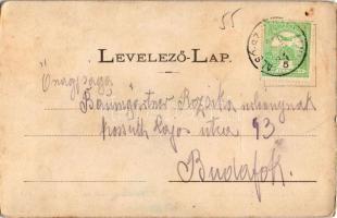 1911 Felsőszombatfalva, Sambata de Sus; menedékház a Fogarasi-havasokban (Fogarasi Kárpátok). Kiadja...