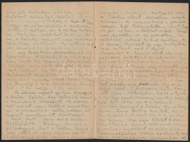 1944-1945 Kézzel írt eseménynapló egy versegi (Pest megye) úri hölgytől a német csapategység elszáll...