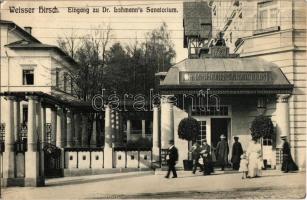1909 Dresden, Weisser Hirsch Sanatorium Dr. Lahmann / sanatorium, entrance gate (EK)
