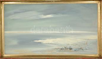 Vágfalvi Ottó (1925-2015) : Szürke tél. Olaj, farost, jelzett, keretben, 44×79 cm