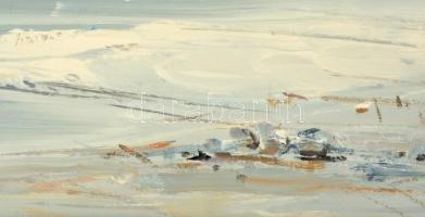 Vágfalvi Ottó (1925-2015) : Szürke tél. Olaj, farost, jelzett, keretben, 44×79 cm