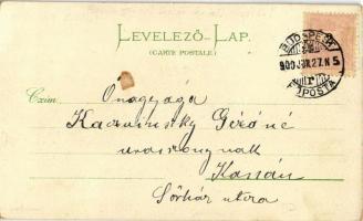 1900 Budapest, Igazságügyi Palota, Vígszínház. 393. Art Nouveau, floral, litho