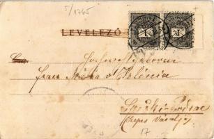 1895 (Vorläufer!!!) Budapest VI. Rózsa utca 55. Rigler József Ede papírneműgyár rt. litho (EK)