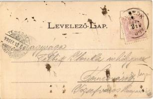 1899 Szolnok, Müller és Veszter vasúti nyári étterme és mulatókertje. Kiadja Szigeti H. udvari fényk...